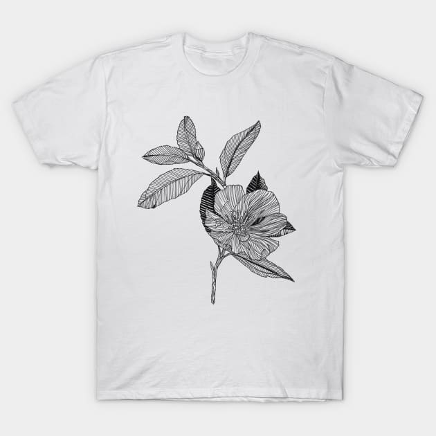 Wild flowers scientific nature black ink pen drawing illustration. From my scientific nature illustration series of black ink pen drawings. T-Shirt by DamiansART